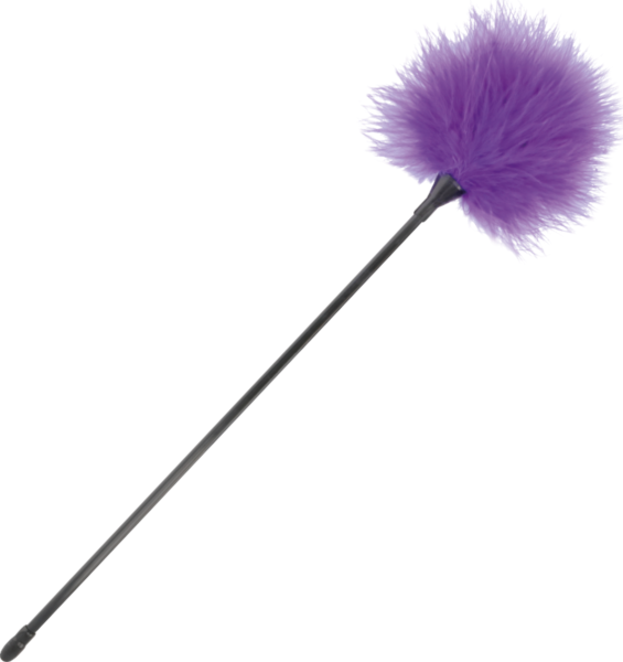 Plume Darkness de 42 cm avec manche