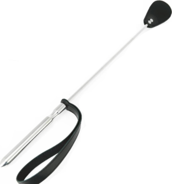 Cravache Metal Hard avec tige polie et bout ovale en cuir