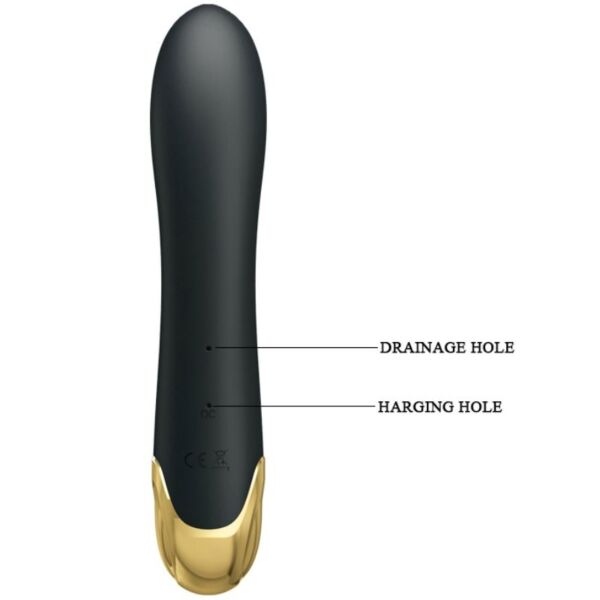 Stimulateur clitoridien à succion Pretty Love Naughty, en silicone avec des détails plaqués or