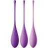 Ensemble Kegel FANTASY FOR HER pour un entraînement efficace