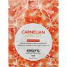Huile de massage Exsens Carnelian Apricot 3 ml