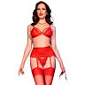 Ensemble de lingerie Chilirose CR 4895 pour souligner la silhouette