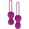 Boules vaginales Nomi Tang IntiMate Plus pour entraînement kegel