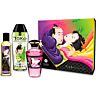 Kit pour couples SHUNGA — Baisers Fruités