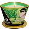 Bougie de Massage Shunga Mini Caress au Thé Vert