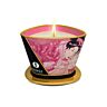 Bougie de massage SHUNGA - Mini Caresse