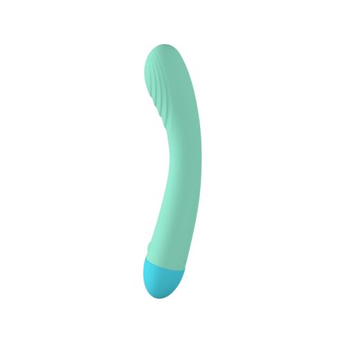 Vibrateur G Spot Party Color TOKY 19 cm