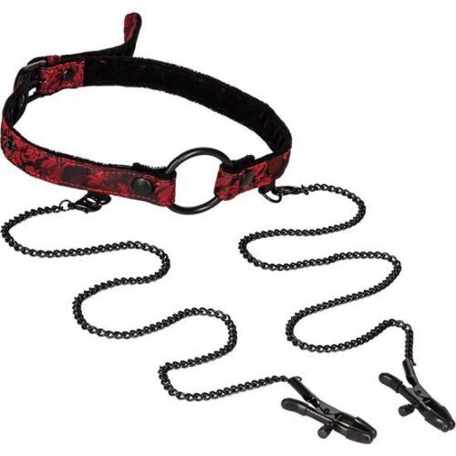 Mordage avec pinces Scandal pour jeux intimes