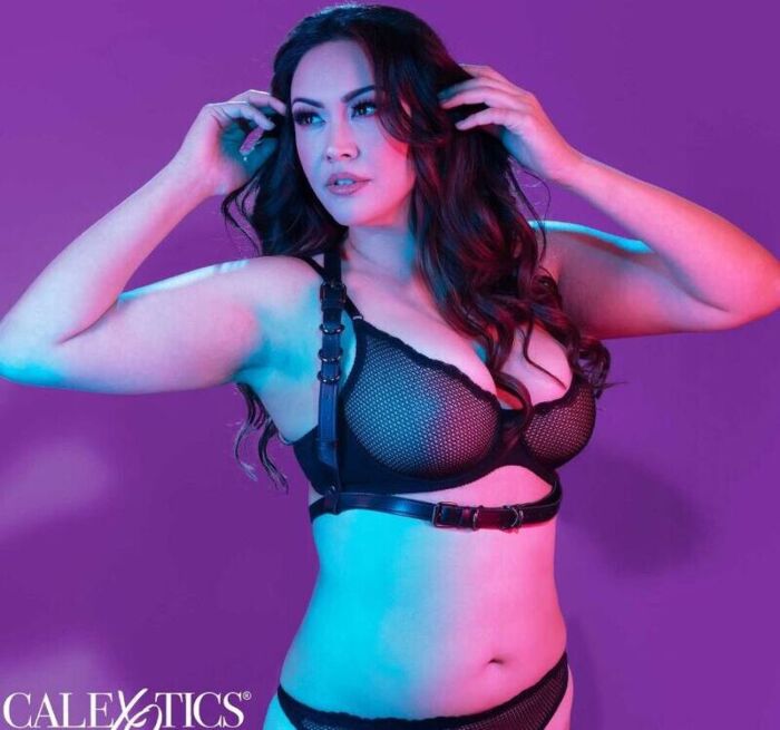 Arnés CalExotics Euphoria Talla Grande Negro