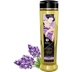 Guide du massage érotique : huiles, bougies, technique